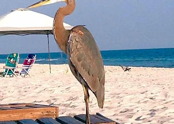 Plantation West #1250 3* Gulf Shores